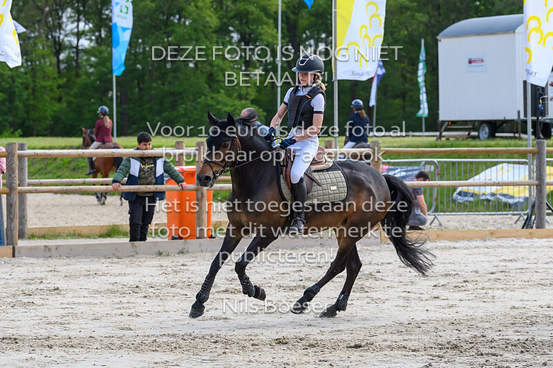 S21 Springen DE 100cm