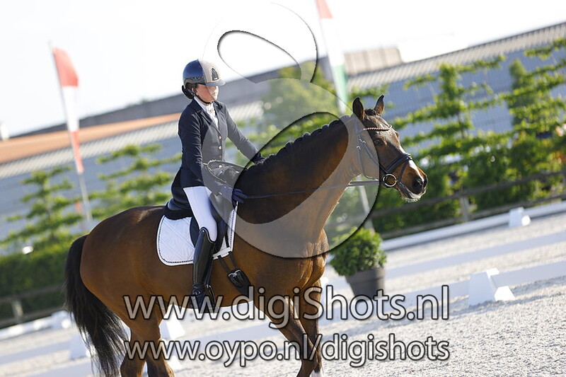 Bonaire van de Mottelhoeve