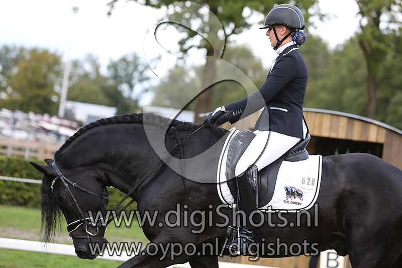 M2 paarden dressuur ring 5