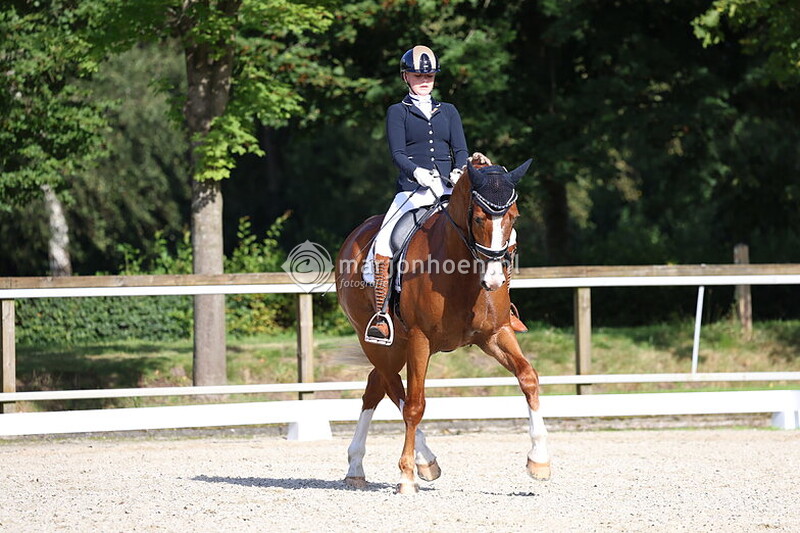 404_Z.STER_B&L_MIDDAG_13sept