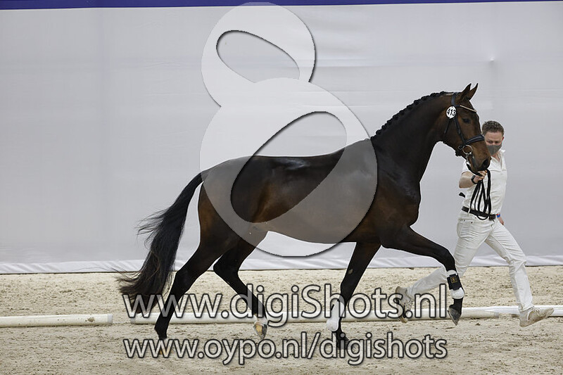 Odona Paulowna v. Furstenball