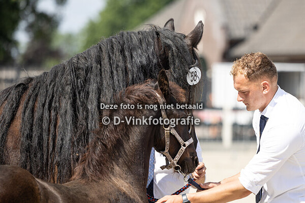 58. Evita van de Boezem