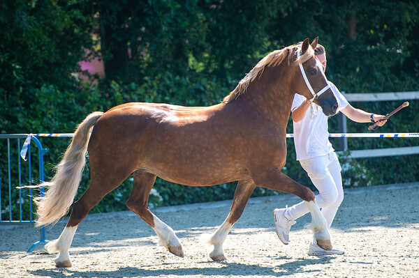 Inspectie NWPCS Tolbert