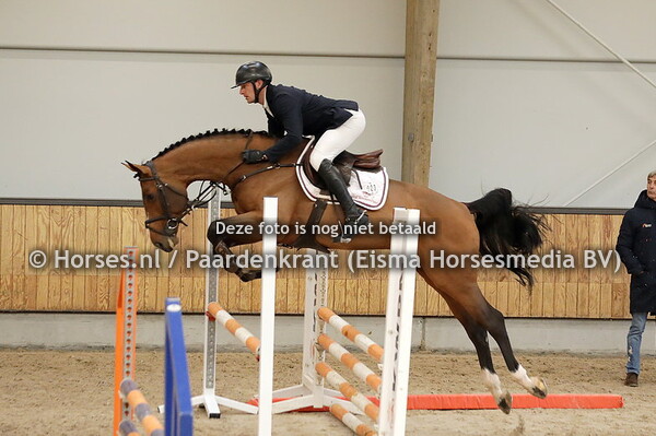 23 Agalandro Keizersberg (Aganix du Seigneur x Colandro)