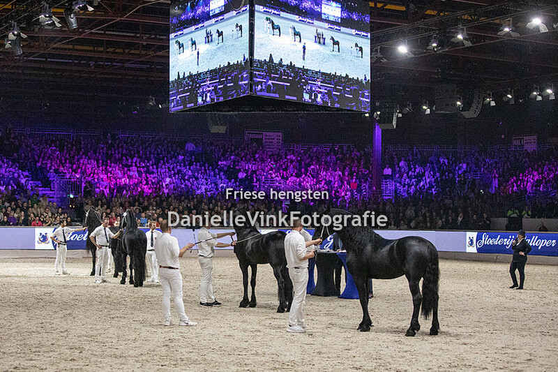 Hengstenkeuring 2024 Tymen 503