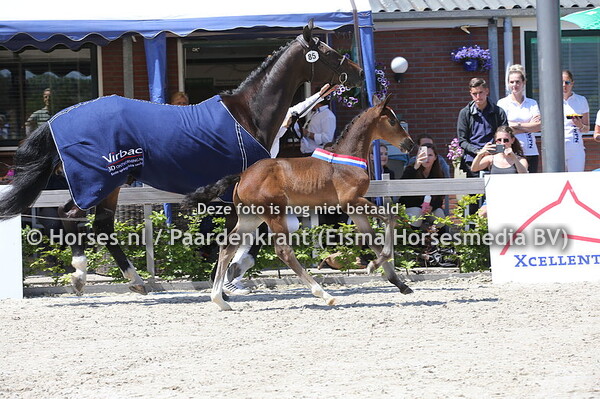 85 One and Only v Just One