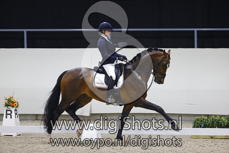 King van het Haarbosch