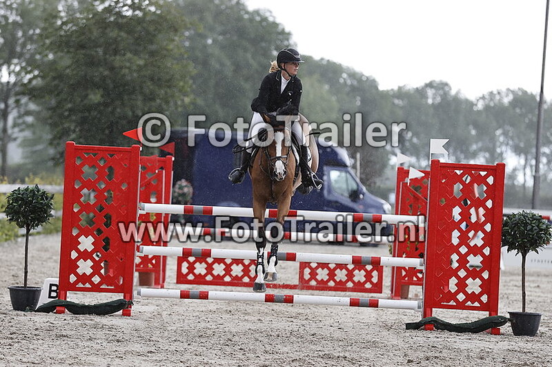 anoek van der pluijm