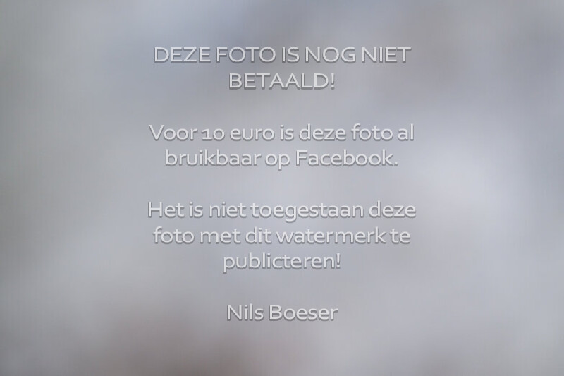 3 vrijdag 1.10m paarden