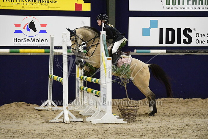 Linn Geysen - Hoge Linthorst Ali B