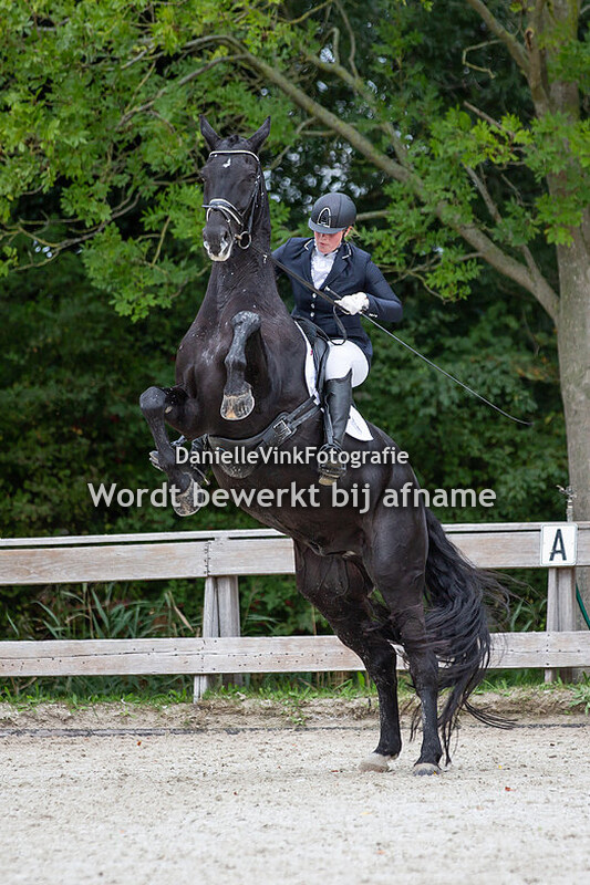 Pamela Stuurman - Equilibrio's Willow