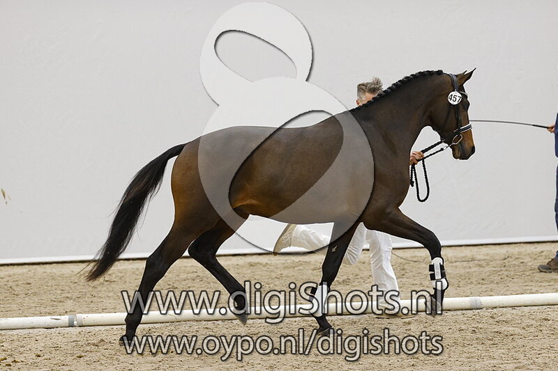 Netflix I&S v. Helium