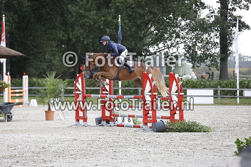 fabienne lichtenvoort cats