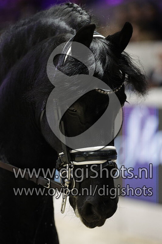 Wytse 462 v. Arjen 417