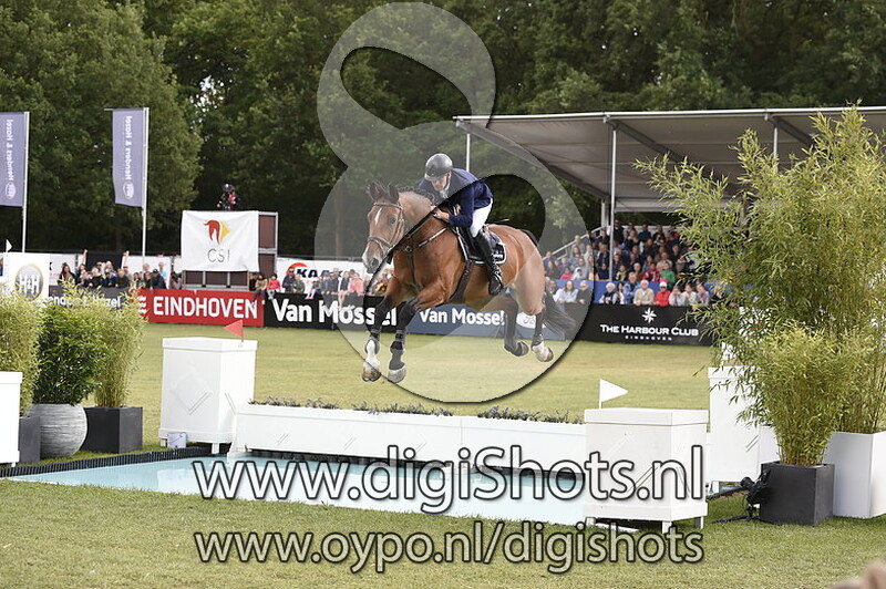 Hippos van de Rostal