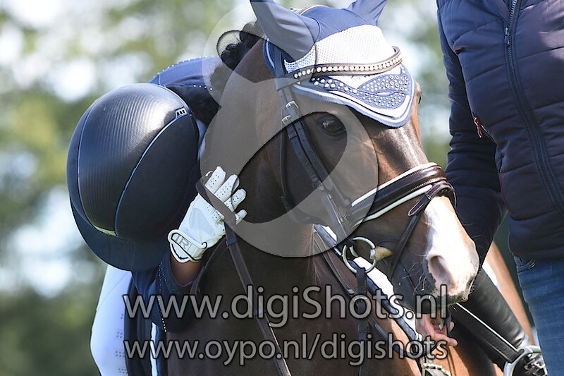 Ring 6 Dressuur L1 cat C