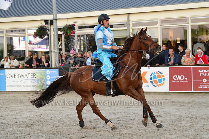 Quinten van Daele - Big Dream DMH Z