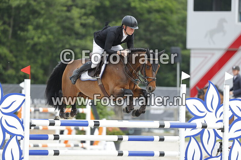 dennis van den brink