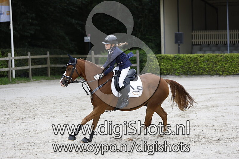 Springen 0.50cm pony