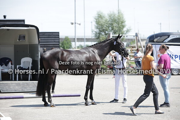 68 Livia-Danka (George Clooney x hera T v. Negro))