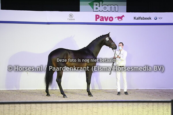 487 Nachtwacht in 't Veld