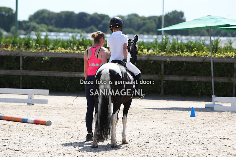 Zilfia's Hoeve Bixie 20-08-2023 Dressuur 10.00-13.30 uur