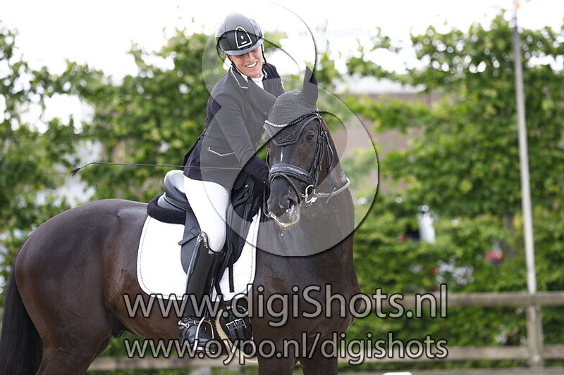 Virtouso vd Bloemenhof