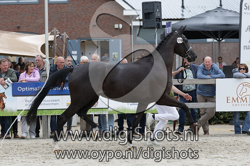 Sweet Seven v. Kjento