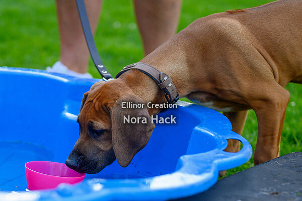 Vrijdag 31 juli 2020