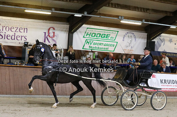 TP nieuweling merries groep 2