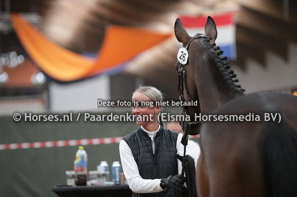 26 Janca (Warrant x Tamira v, Julio Mariner xx)