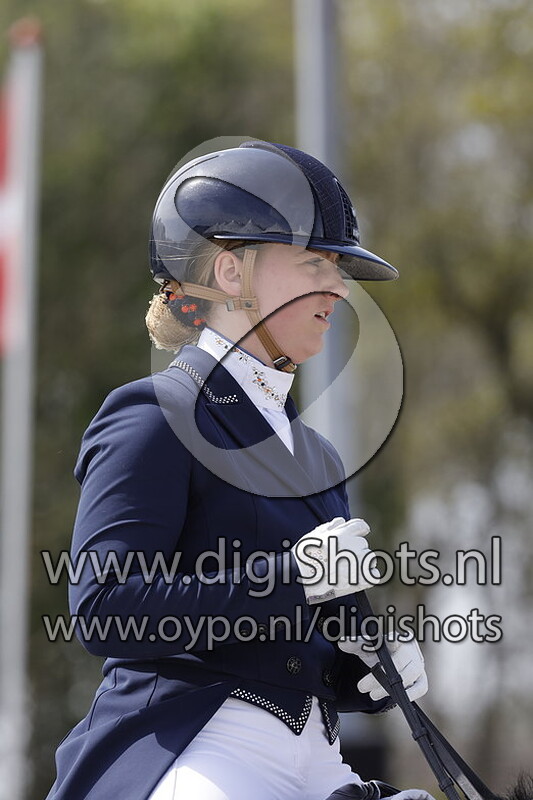 Chocolate Cookie RDP