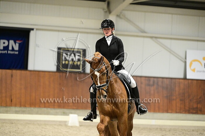 Joan Cornelissen - Stallone L