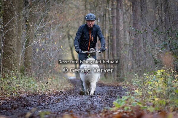 Donderslag zondag 30-11-2025 