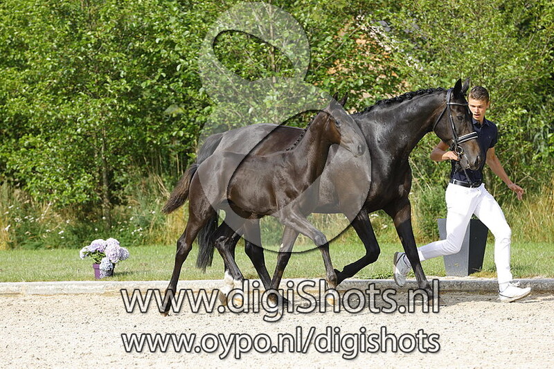 Glock's Toto Jr x Rousseau