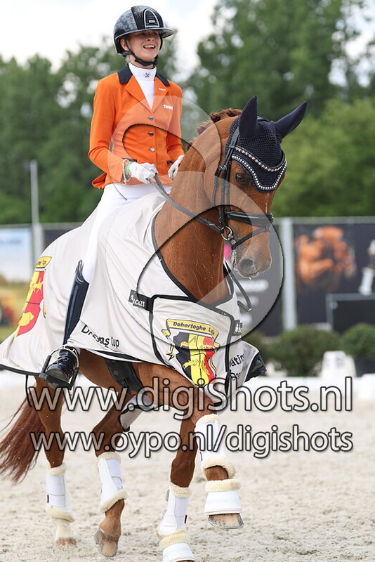 Gentle van Wittenstein V