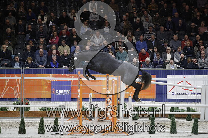 Lexus VDL v. Cornet Obolensky