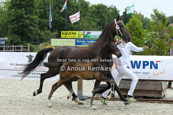 13 - Vyanne ( Neon GSM x Icellie )