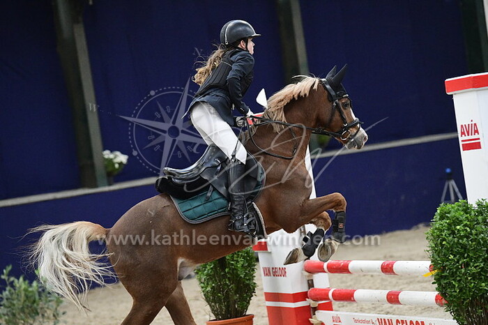 Kailey Slegt - Tiesto