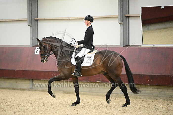 Robert-jan de Visser - Stromae