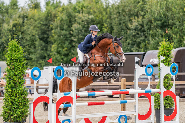 De Flevoruiters Springen paarden 03/08/2024