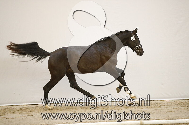 410 Lando TCS v. Franklin