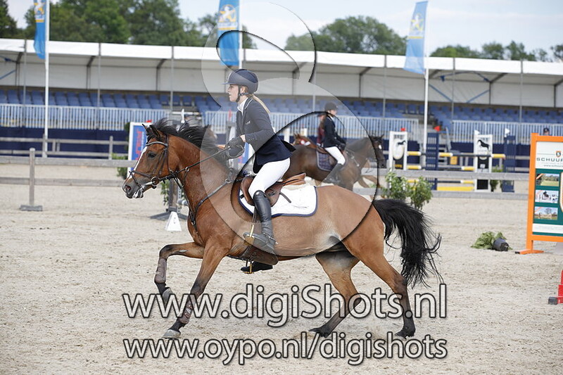 Anemone Orchid's Sarine