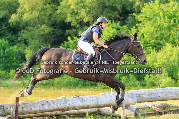 SGW Ede en Putten, Paarden B 23-06-19