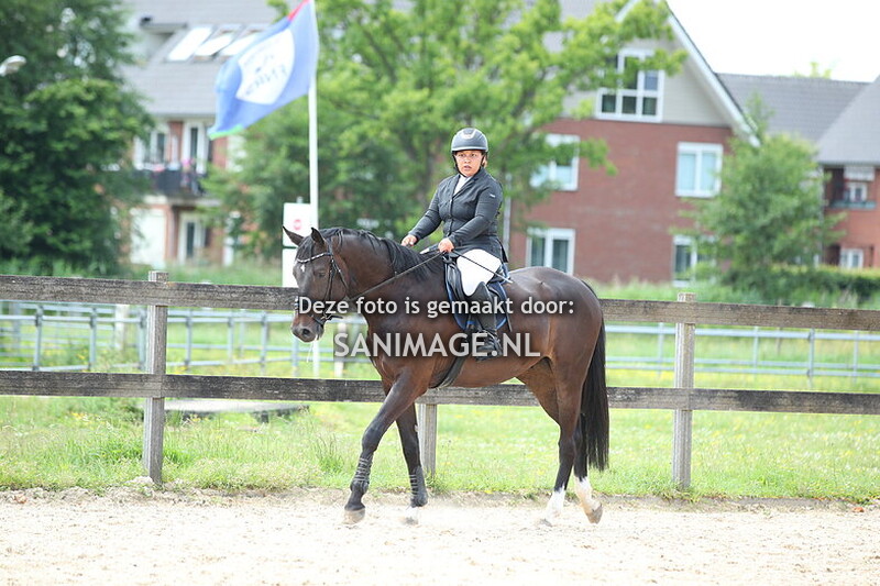 Manege Groenewoude 15-06-2025 Springen Paarden 60 + 70 + 80 cm