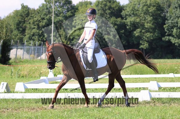 Dressuur 19 juli Zevenaar (12.00 tot 15.50u)