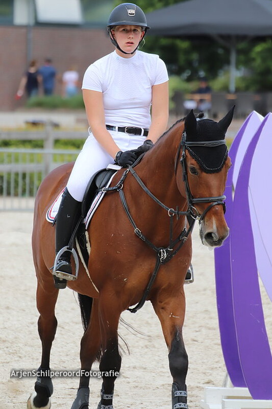 HTC Zomer Ijkmoment 02-07-2019 paarden 072 t/m 023