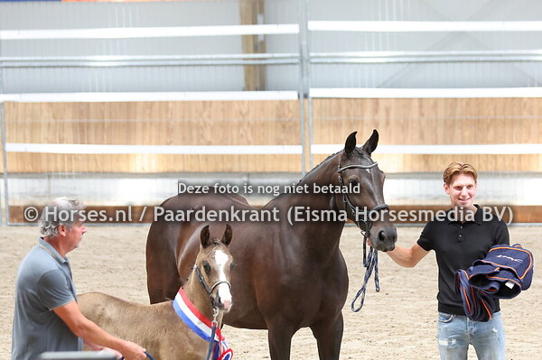 225 Vesper WG (Fiji x Lady Wemmie v. Hennessy)