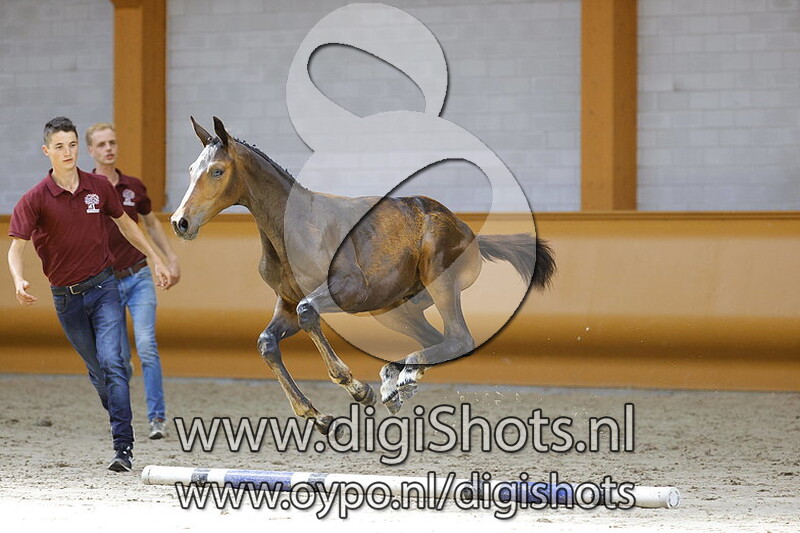 Ponthargos v. Conthargos