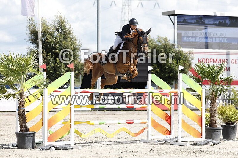 morten alexander djupvik